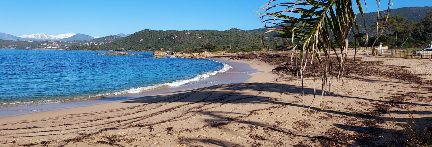 Maison 8 Pièces 250 m² à vendre à Coti-Chiavari (20138)