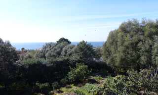 Photo N° 4