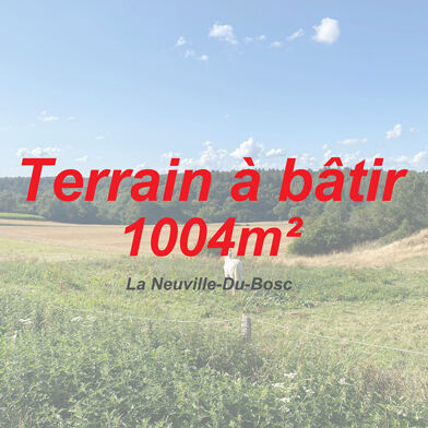 Terrain 1004 m²