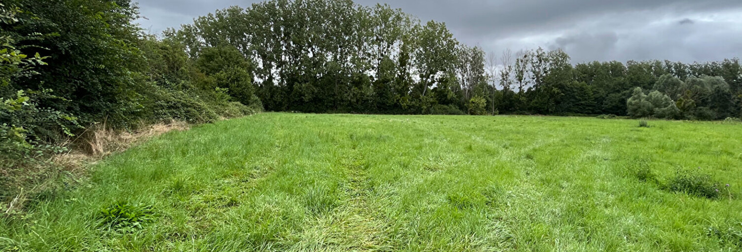 Terrain  2200 m² à vendre à Blancafort (18410)