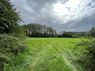 Terrain Blancafort 2200 m2 — photo 3