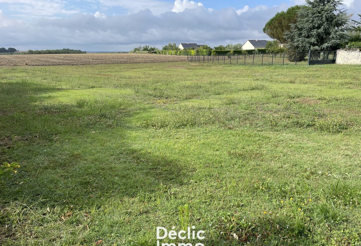 À Vendre  Terrain Constructible à Lémeré (37) — photo 1