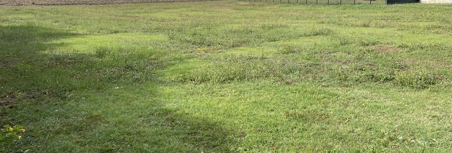 Terrain  1596 m² à vendre à Lémeré (37120)