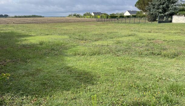 Terrain  à vendre Lémeré 37120