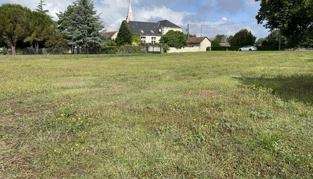 Terrain  à vendre Lémeré 37120