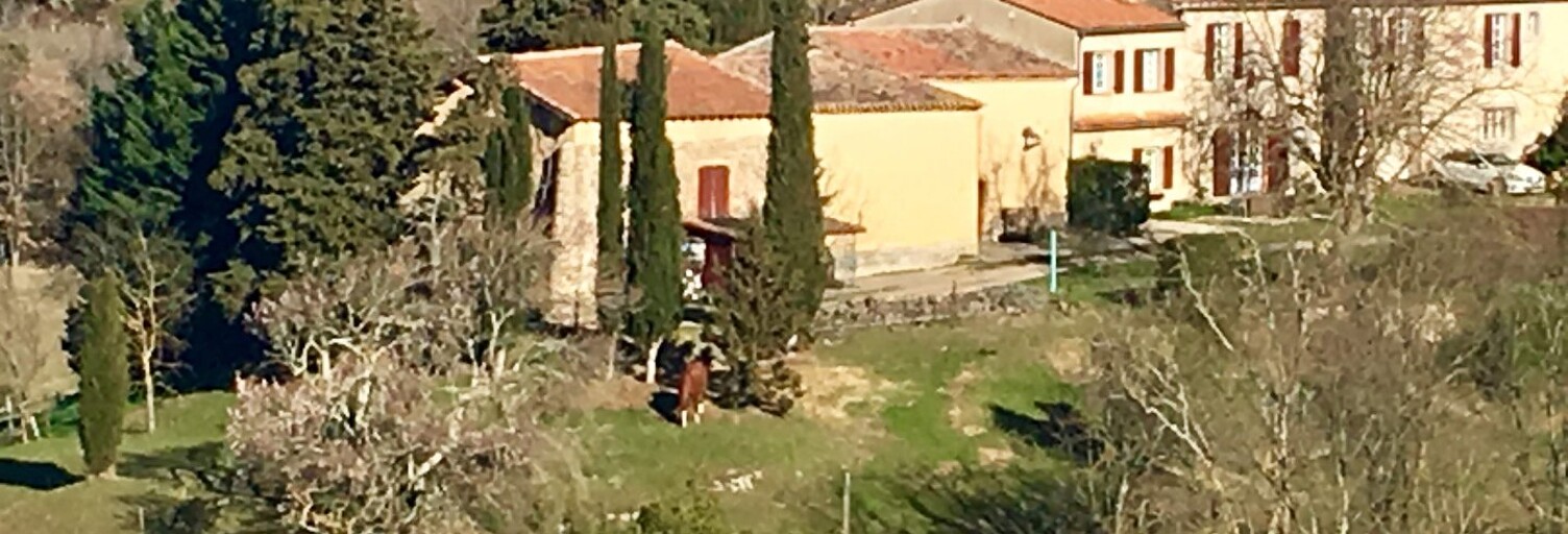 Maison 11 Pièces 304 m² à vendre à Limoux (11300)