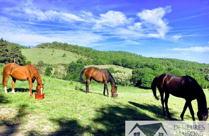 Haras / Equestre — photo 4