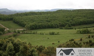 Photo N° 6