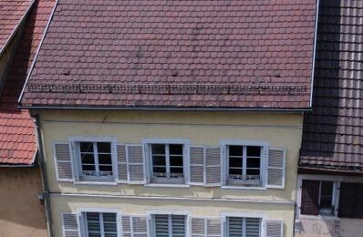 immeuble  pièces 415 m2 à vendre à Altkirch (68130)