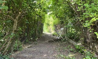 Photo N° 3