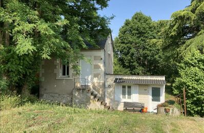 vente maison 45 000 € à proximité de Levroux (36110)