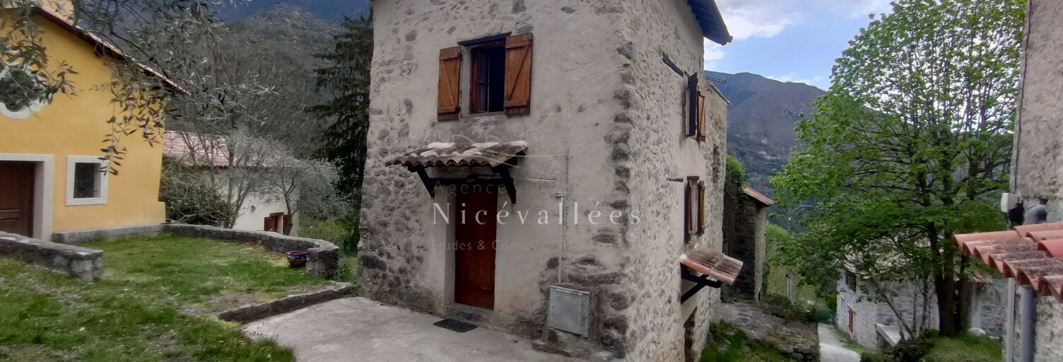 Maison 3 Pièces 50 m² à vendre à Ilonse (06420)