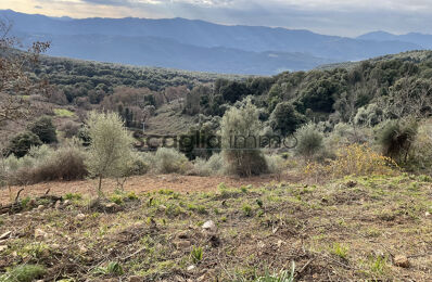 vente terrain 175 000 € à proximité de Eccica-Suarella (20117)