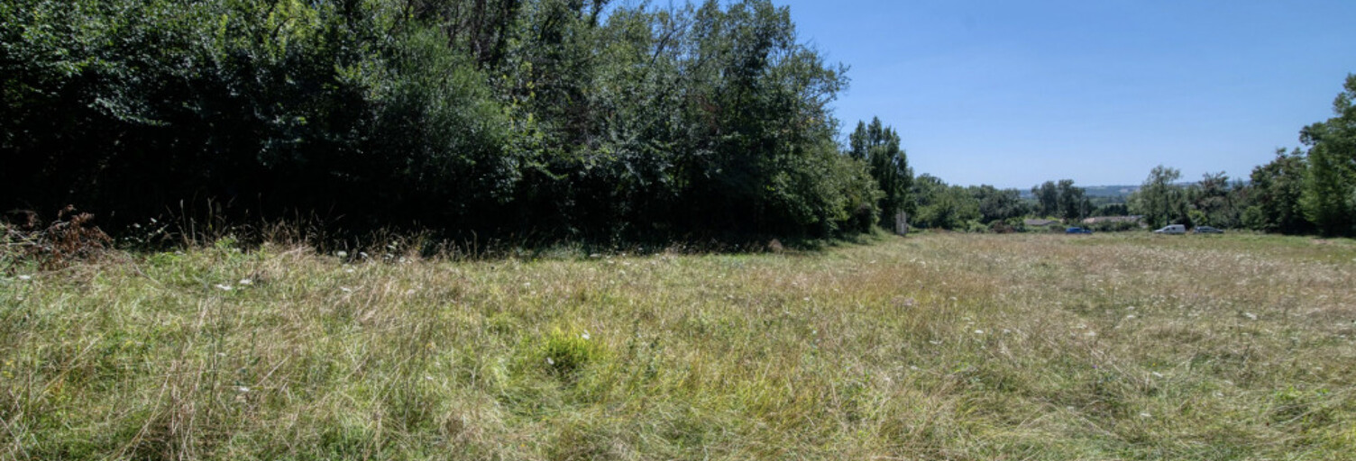 Maison  6500 m² à vendre à Malause (82200)