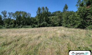 Photo N° 6