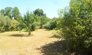 Photo N° 6