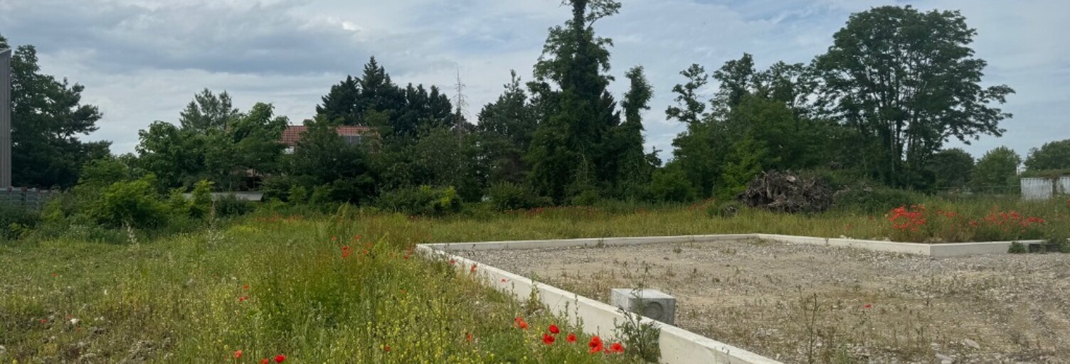Terrain  497 m² à vendre à Algolsheim (68600)