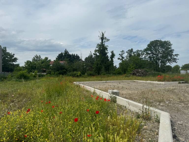 Programme Les Champs Fleuris  à ALGOLSHEIM — photo 1