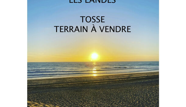 Terrain  à vendre Tosse 40230