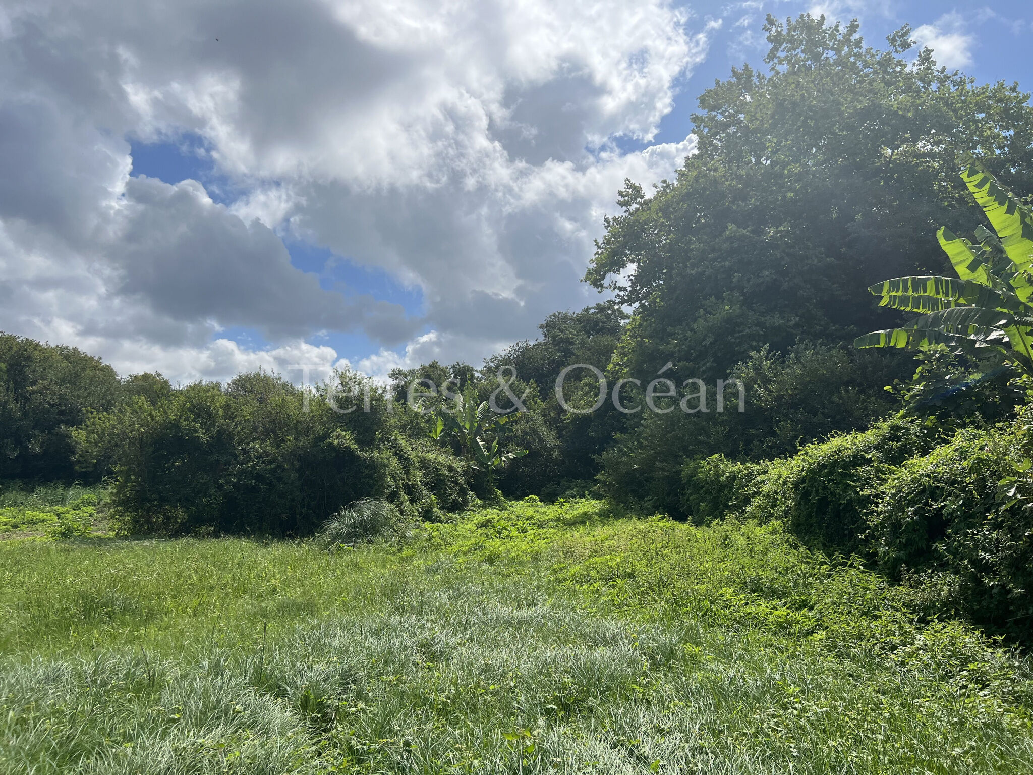 Terrain  à vendre Bayonne 64100