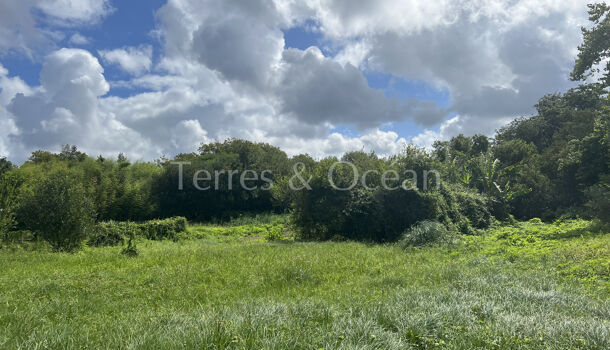 Terrain  à vendre Bayonne 64100