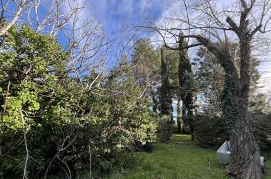 Terrain  228975 €