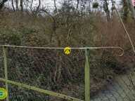 TEL ROBINSON CRUSOE — photo 4
