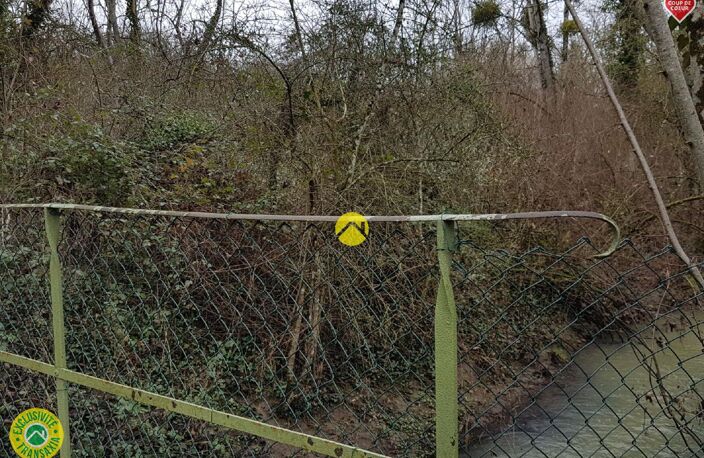 TEL ROBINSON CRUSOE — photo 4