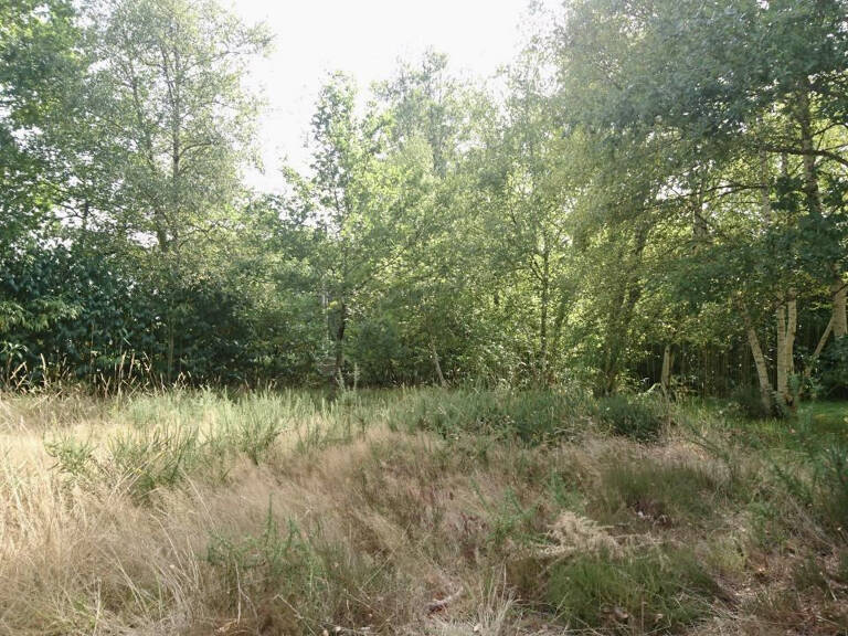 Terrain arboré à bâtir à Mézos — photo 1
