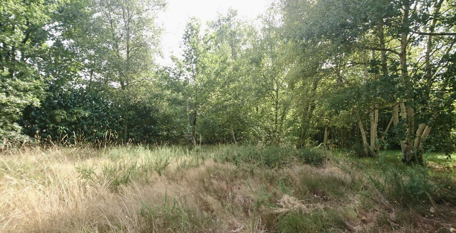 Terrain arboré à bâtir à Mézos — photo 1