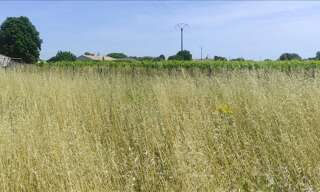 Terrain  2930 m² à vendre à Saint-Même-les-Carrières (16720)