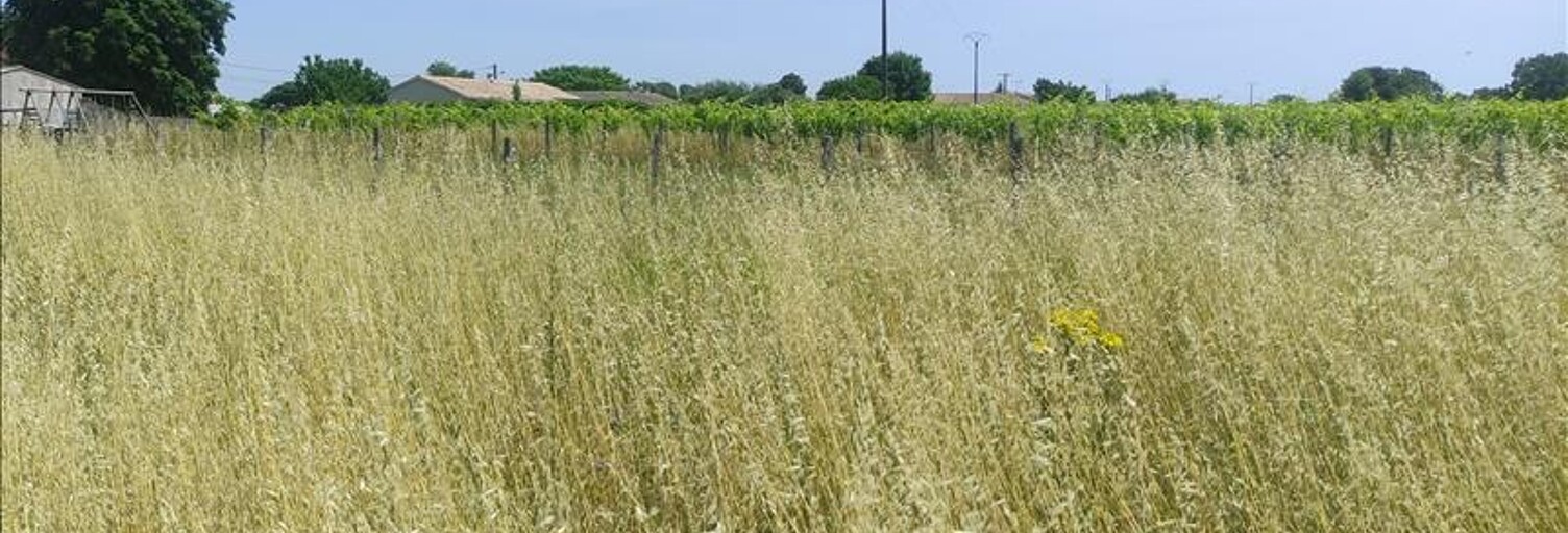 Terrain  2930 m² à vendre à Saint-Même-les-Carrières (16720)