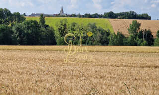 Terrain  1596 m² à vendre à Lémeré (37120)