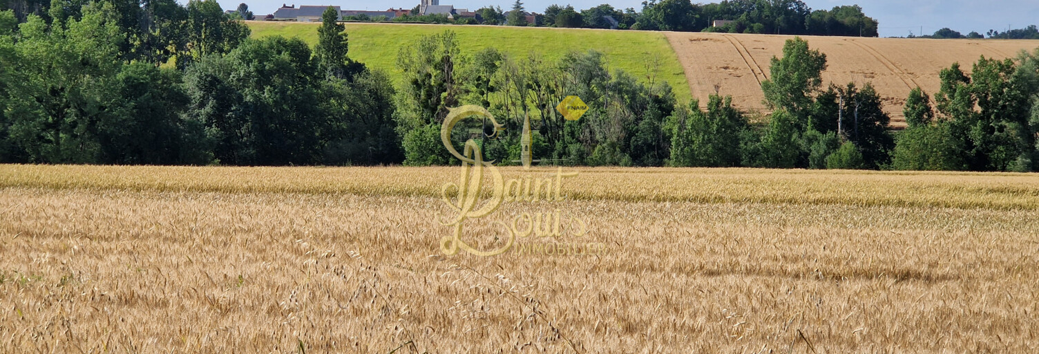 Terrain  1596 m² à vendre à Lémeré (37120)