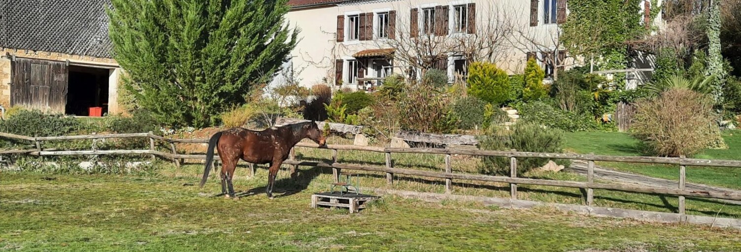 Maison 13 Pièces 407 m² à vendre à Montesquiou (32320)