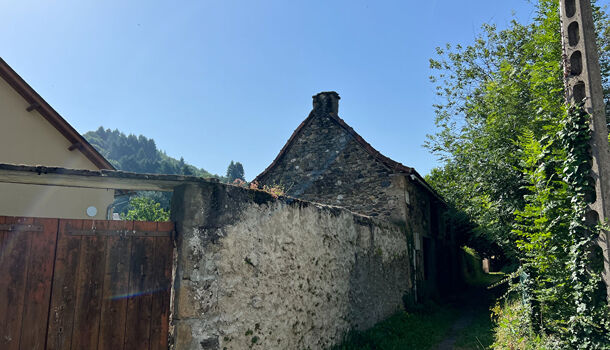 Autres  à vendre Saint-Geniez-d'Olt et d'Aubrac 12130