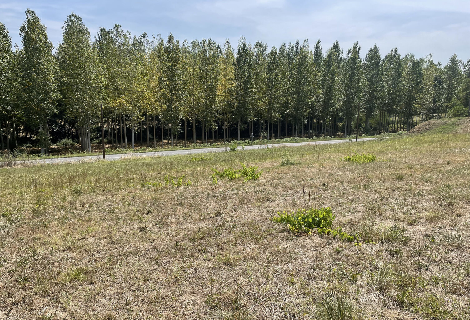 Terrain à bâtir — photo 1