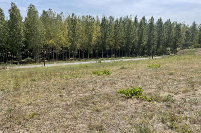 Terrain  44000 €