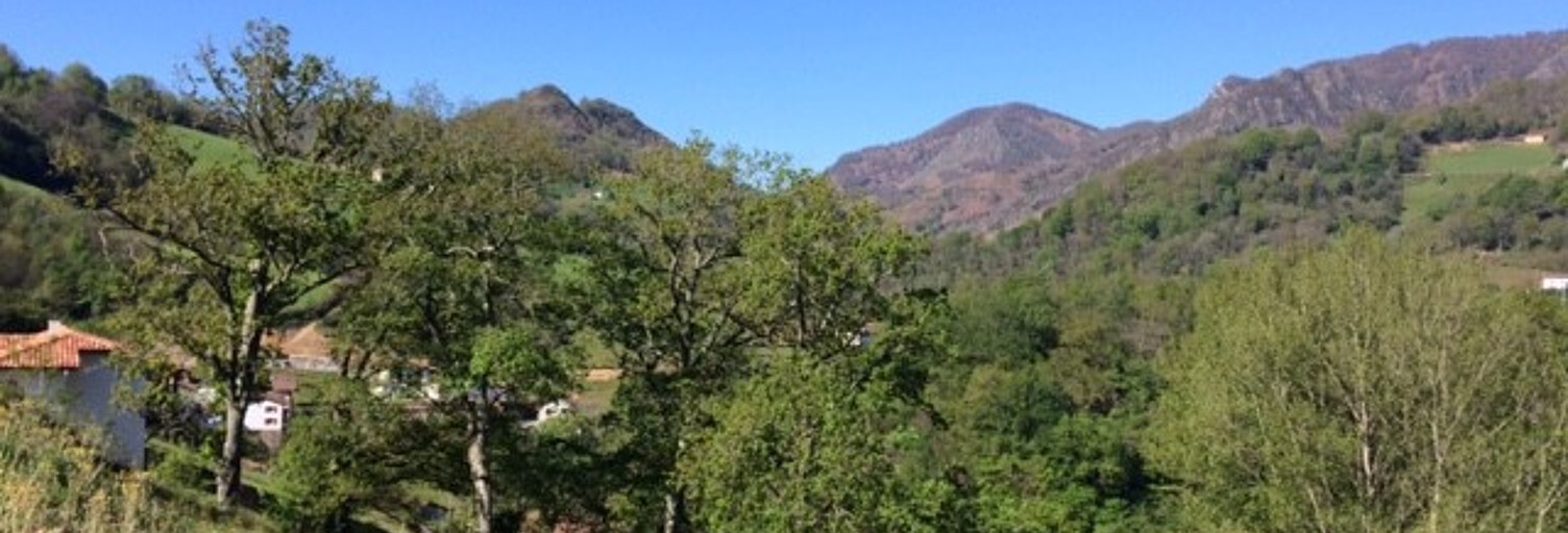 Terrain  1380 m² à vendre à Saint-Étienne-de-Baïgorry (64430)