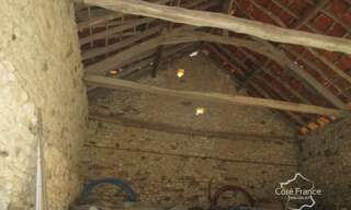 Maison 10 Pièces 230 m² à vendre à Tamniès (24620)