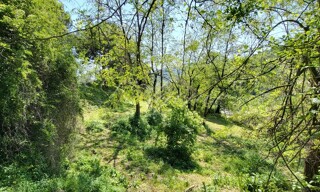 Photo N° 6