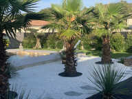 Villa 155m²+Piscine+Pool house /900m² Aumelas — photo 3