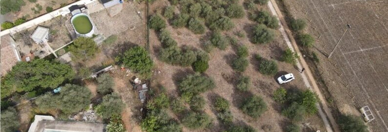 Terrain  2570 m² à vendre à Cruzy (34310)