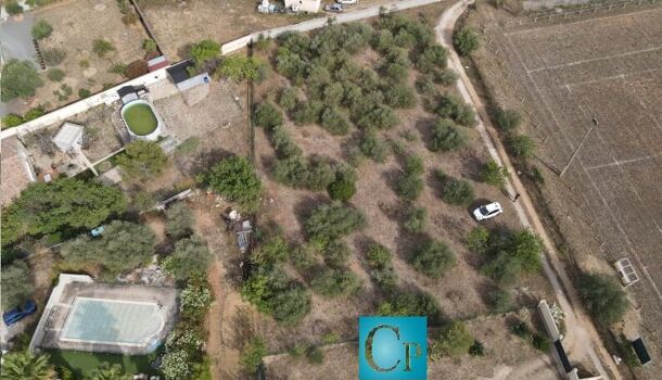 Terrain  à vendre Cruzy 34310