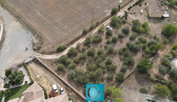 Terrain  à vendre Cruzy 34310