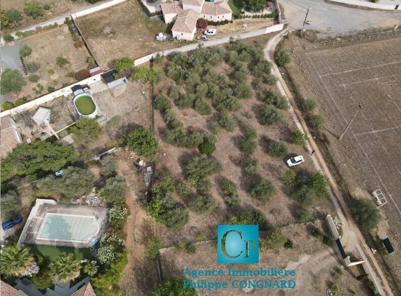 Terrain  à vendre Cruzy 34310