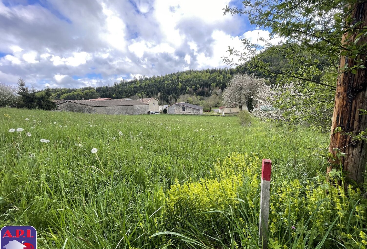 Vente terrain  1598 m² Roquefeuil (11340) — photo 1
