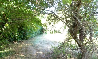 Photo N° 6