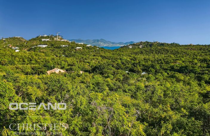 Opportunité unique: Terrain aux Terres Basses avec plans! — photo 4