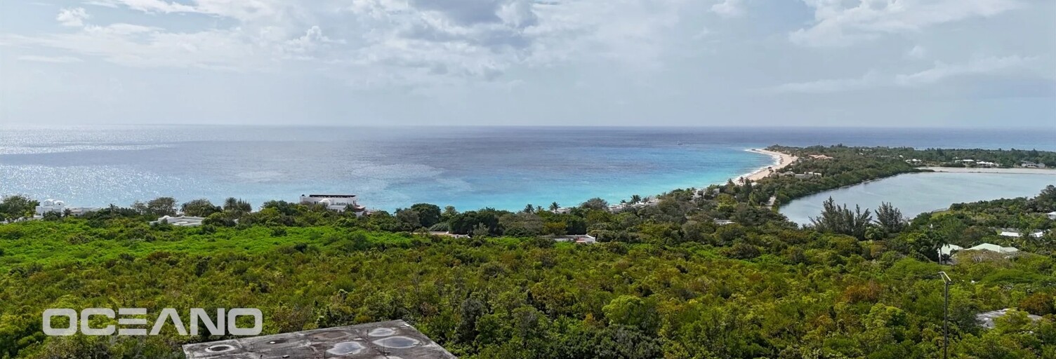 Terrain  7750 m² à vendre à Saint-Martin (65360)